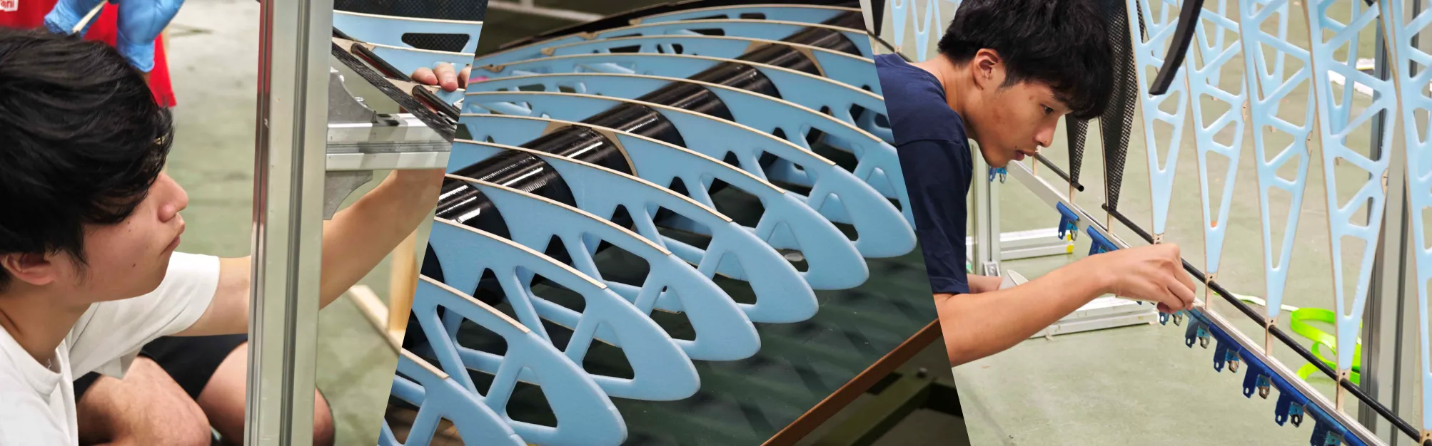 Wing